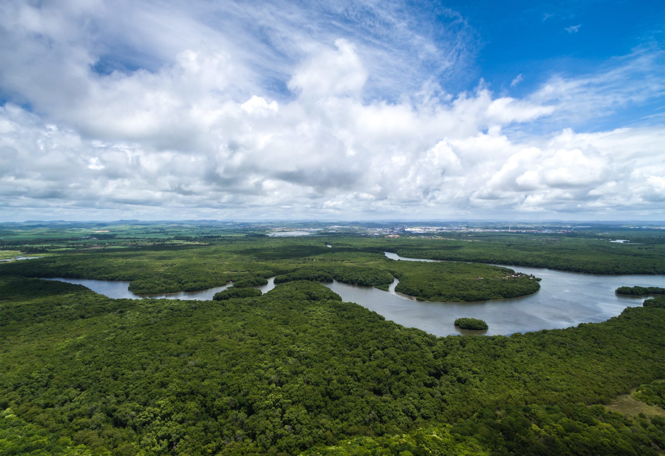 JBS FAILS TO ACT ON DEFORESTATION ALERTS LEADING TO MORE THAN 18,000 HECTARES OF AMAZON AND CERRADO DESTRUCTION